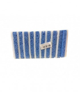 Scrub spog blue x10